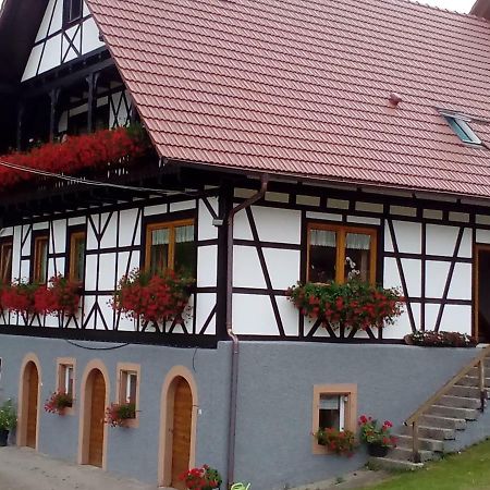 Apartmán Steinhof Oberkirch  Exteriér fotografie