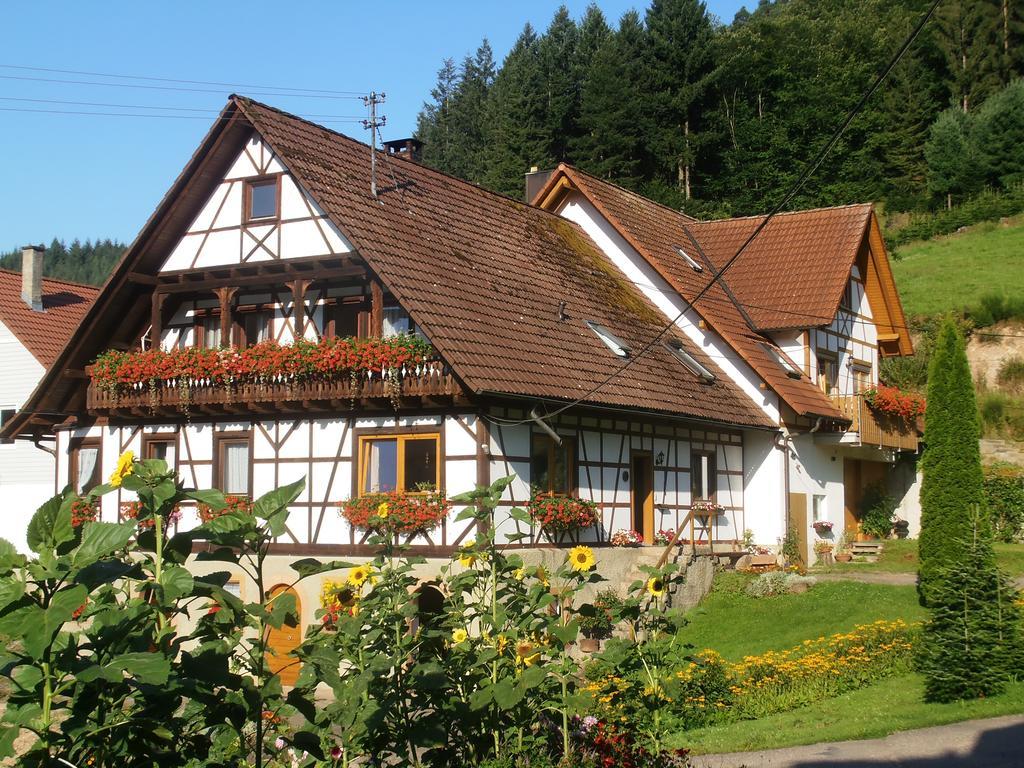 Apartmán Steinhof Oberkirch  Exteriér fotografie