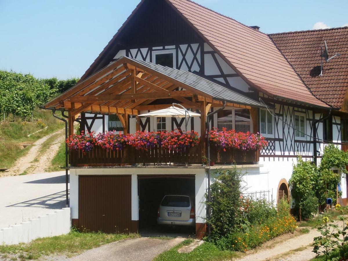 Apartmán Steinhof Oberkirch  Exteriér fotografie