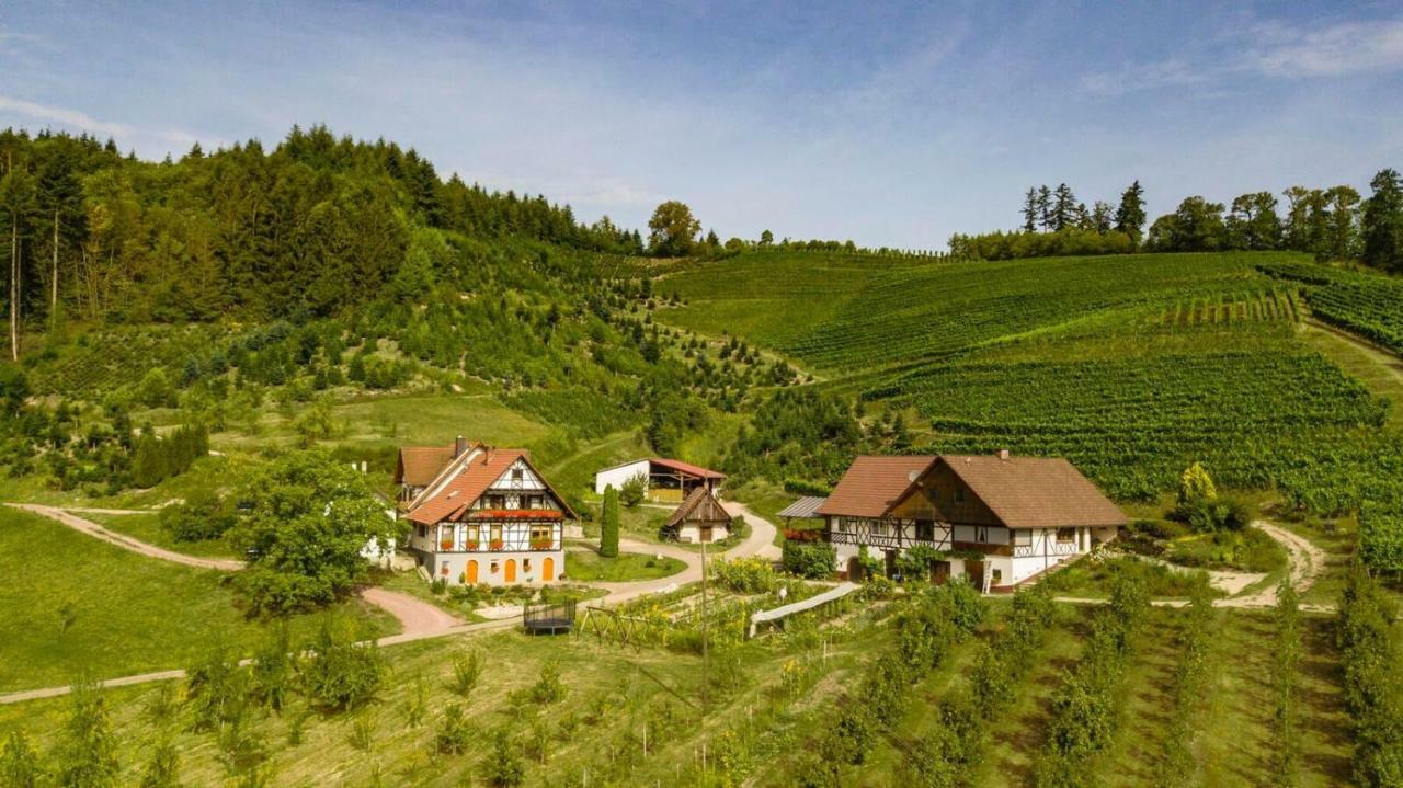 Apartmán Steinhof Oberkirch  Exteriér fotografie