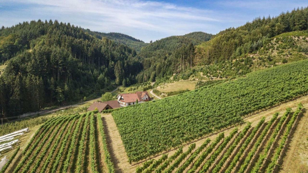 Apartmán Steinhof Oberkirch  Exteriér fotografie