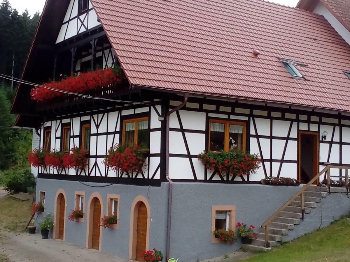 Apartmán Steinhof Oberkirch  Exteriér fotografie